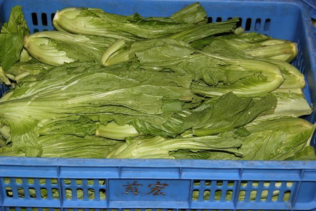 東莞首宏公司蔬菜配送價(jià)格表 2025-10-27