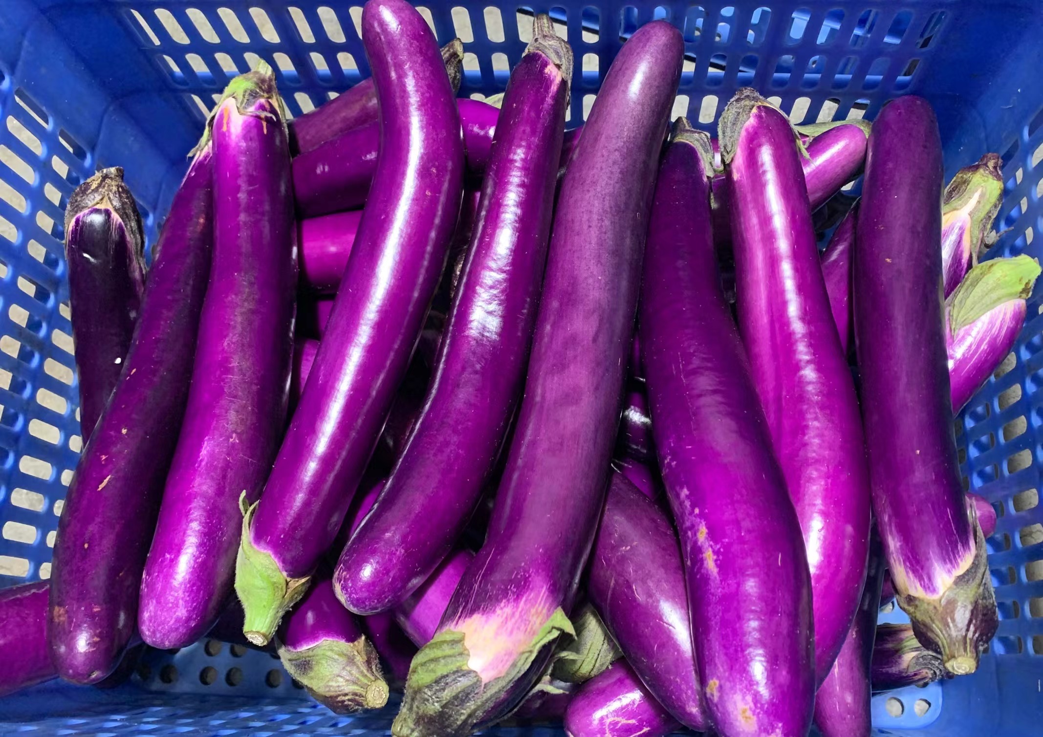 什么車配送蔬菜便宜又好