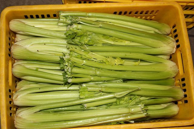 蔬菜配送員工作怎么樣