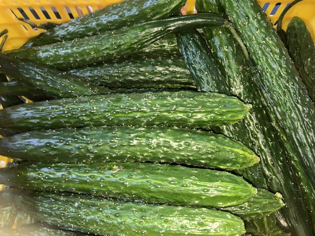 酒店蔬菜凈菜配送工廠有哪些