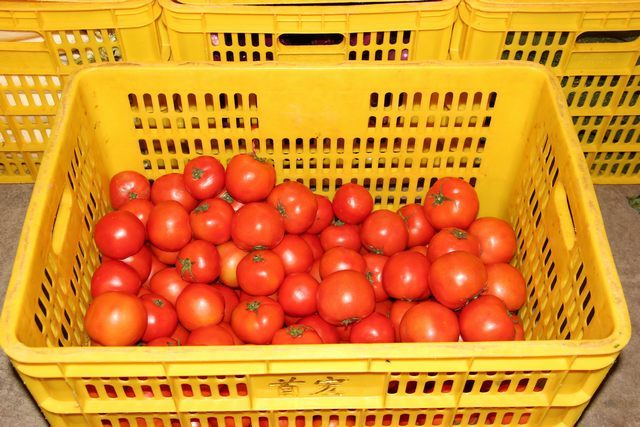 東莞首宏公司水果配送價(jià)格表 2025-10-27