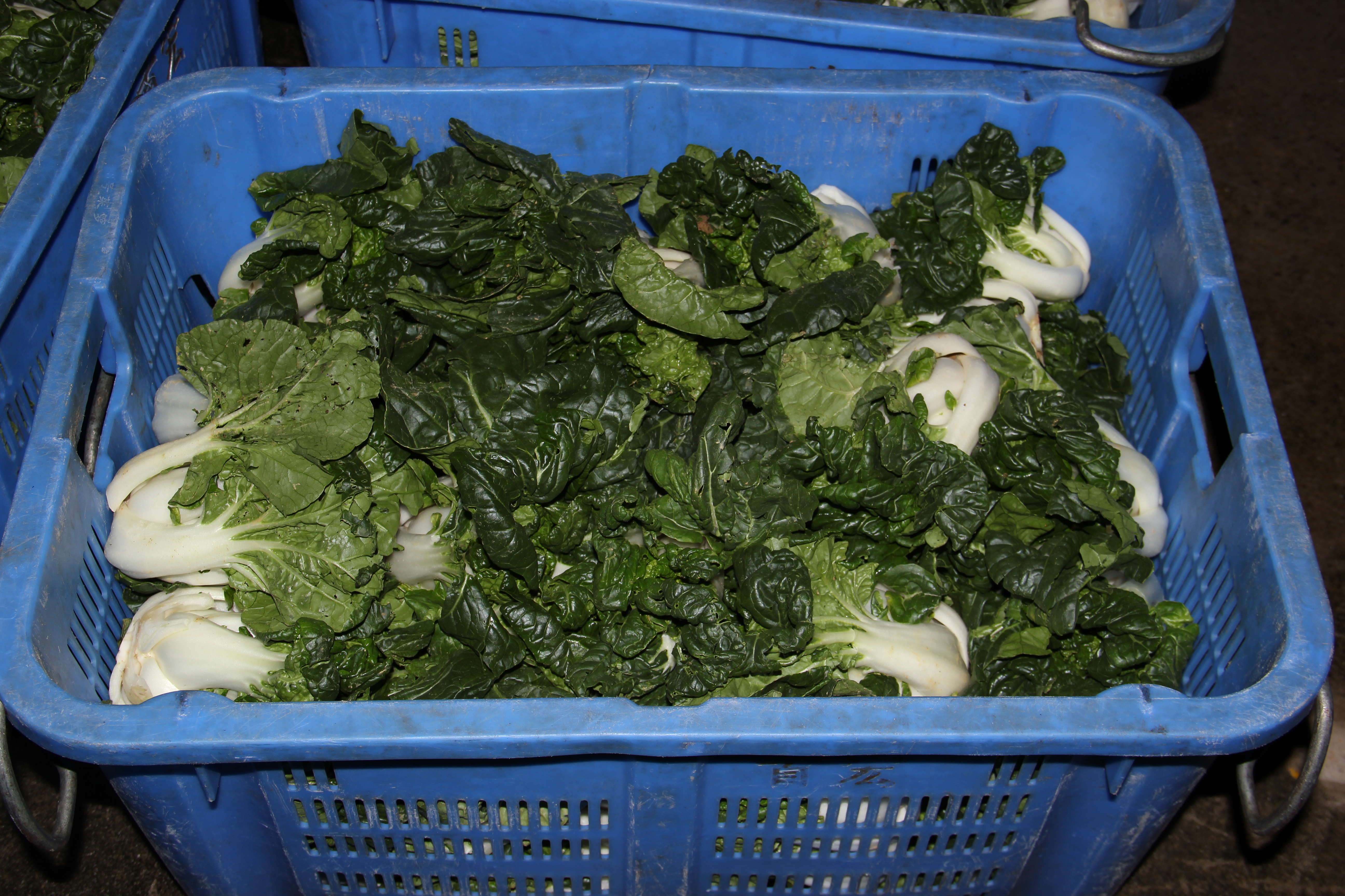 蔬菜副食品配送怎么樣的