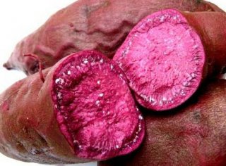 憑借花青素 紫薯占領營養(yǎng)高地