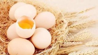 蛋殼顏色與雞蛋營養(yǎng)無關
