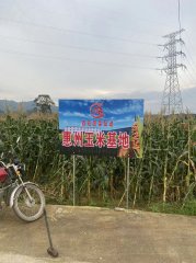 公司有機(jī)蔬菜配送有何特色，公司有機(jī)蔬菜配送