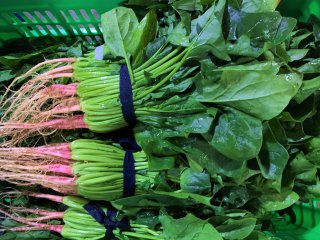 難道凈菜配送就一定安全嗎，新鮮安全的食材選擇