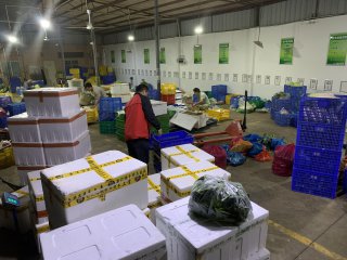 比較買菜那個(gè)網(wǎng)哪個(gè)更好，買菜最好選擇哪個(gè)網(wǎng)站