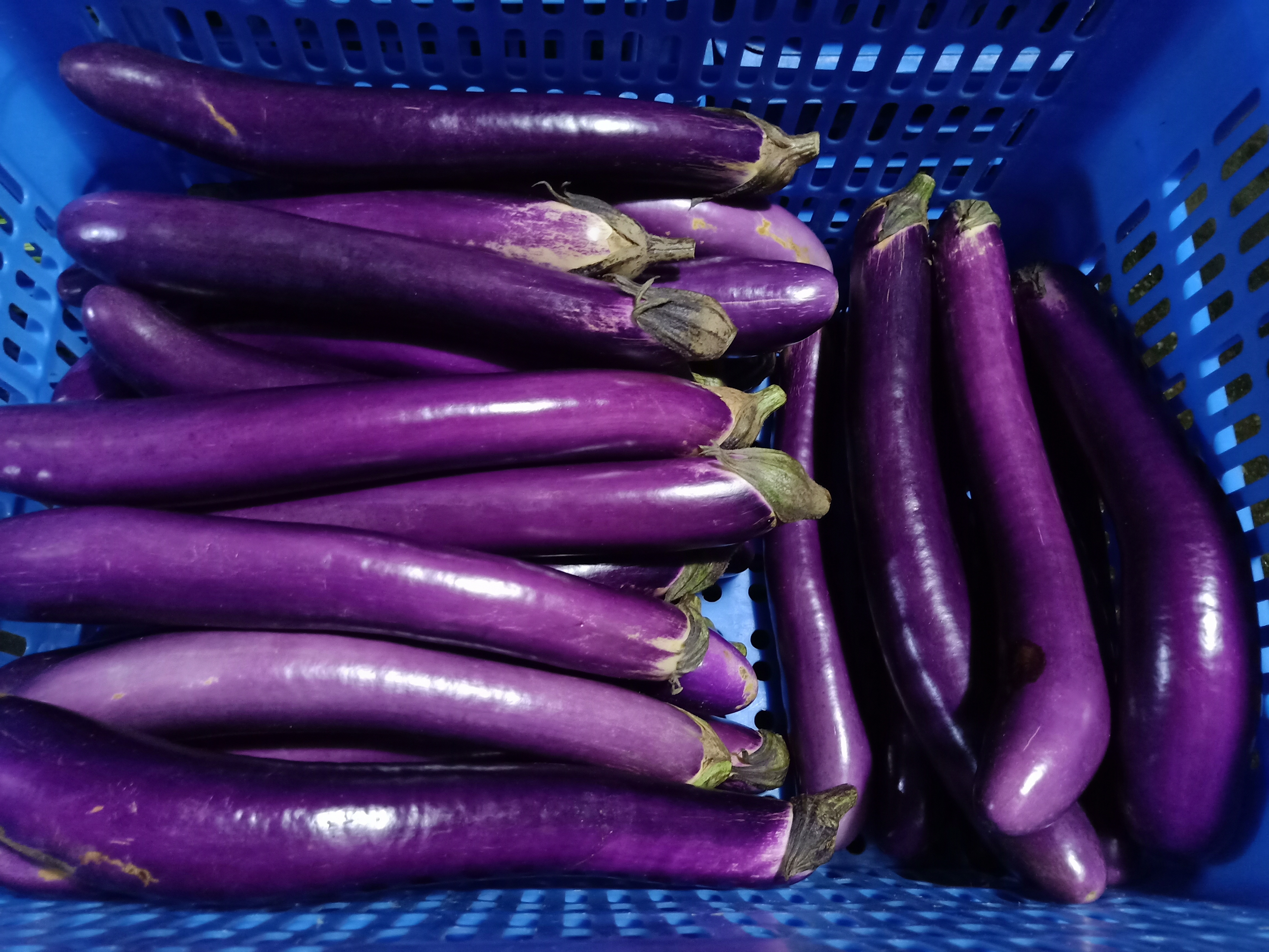 附近新鮮蔬菜配送有哪些呢，讓你輕松享受新鮮蔬菜配送服務(wù)