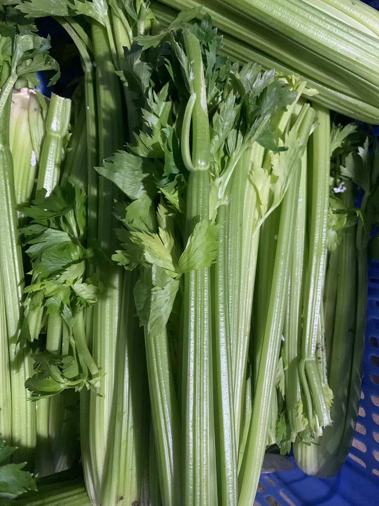 學校食材配送公司有何特色，學校食材配送公司為廣大食客提供安全健康的食材