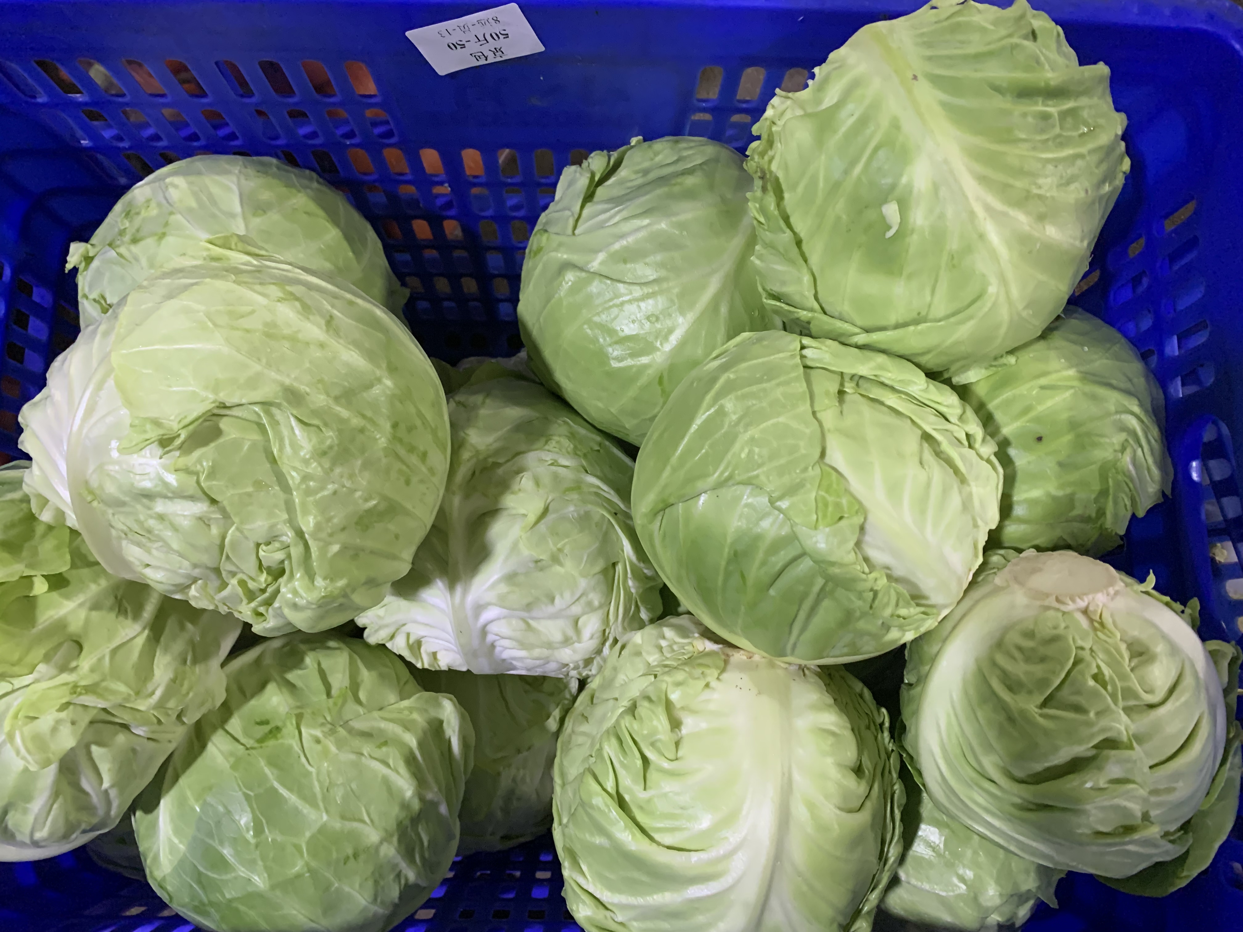 什么是工廠蔬菜配送，讓消費(fèi)者享受更新鮮蔬菜