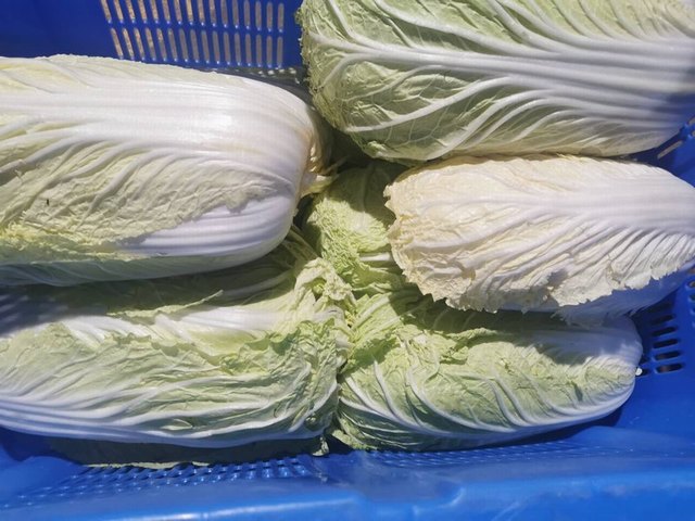 隨時(shí)隨地獲取新鮮蔬菜，配送蔬菜助力健康生活