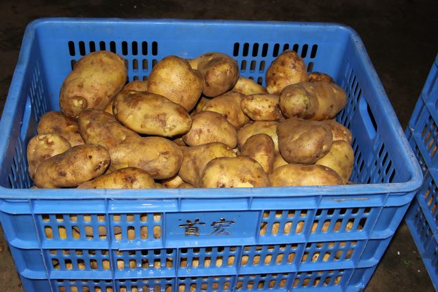 企業(yè)農(nóng)產(chǎn)品配送有何好處，企業(yè)農(nóng)產(chǎn)品配送助力企業(yè)健康發(fā)展