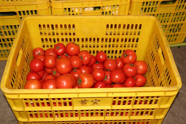 東莞如何配送食材，東莞配送食材