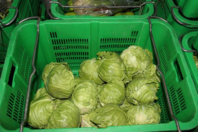 東莞膳食配送服務(wù)能解決什么問題，給您提供安心健康的服務(wù)