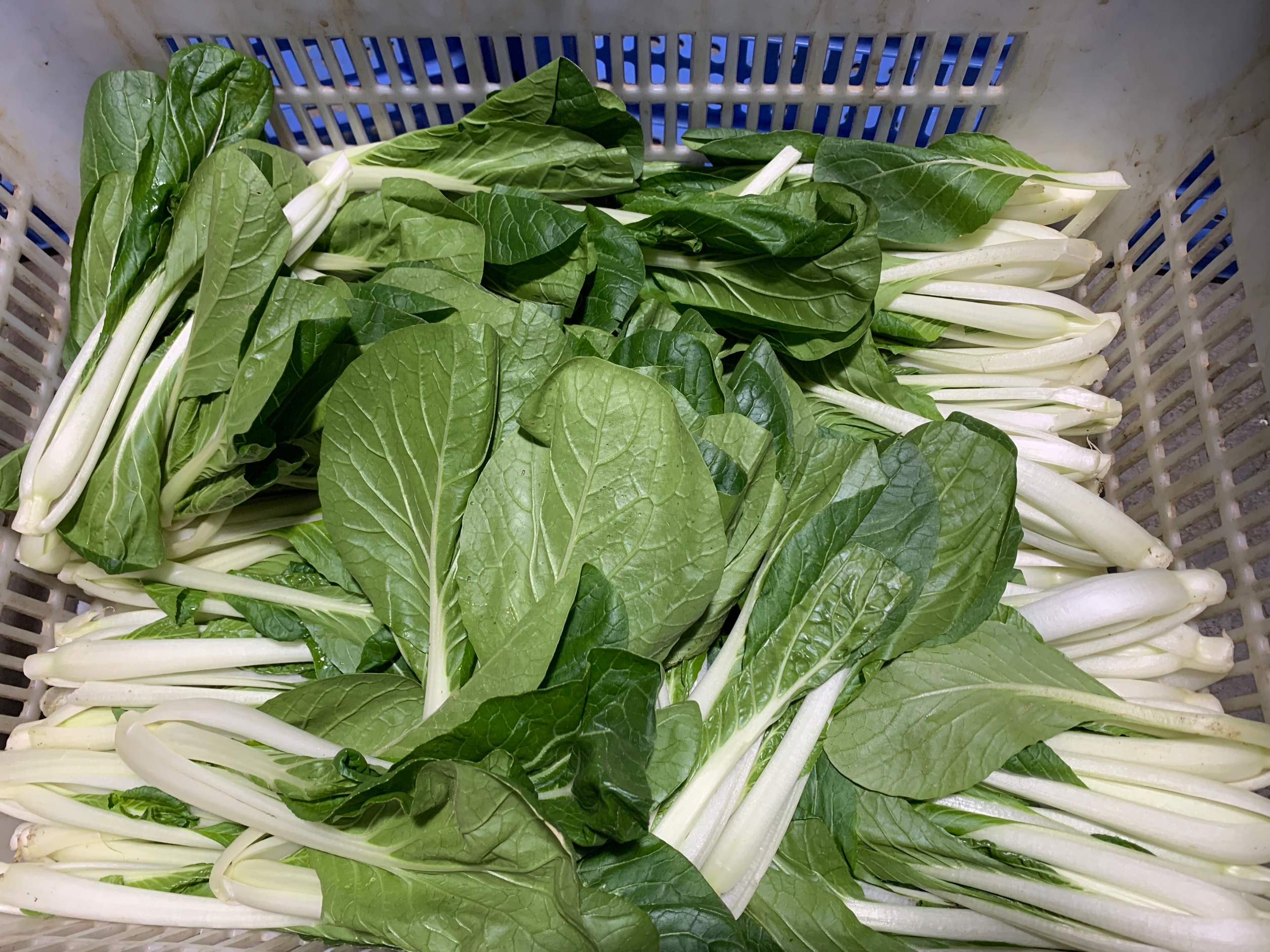 蔬菜農(nóng)副產(chǎn)品配送如何更加有效率，蔬菜農(nóng)副產(chǎn)品配送改善農(nóng)民生活質(zhì)量