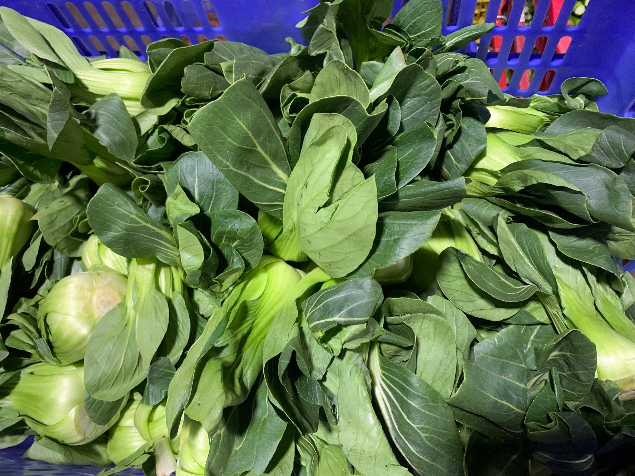 蔬菜農(nóng)副產(chǎn)品配送有何福利，蔬菜農(nóng)副產(chǎn)品配送解決農(nóng)民困難