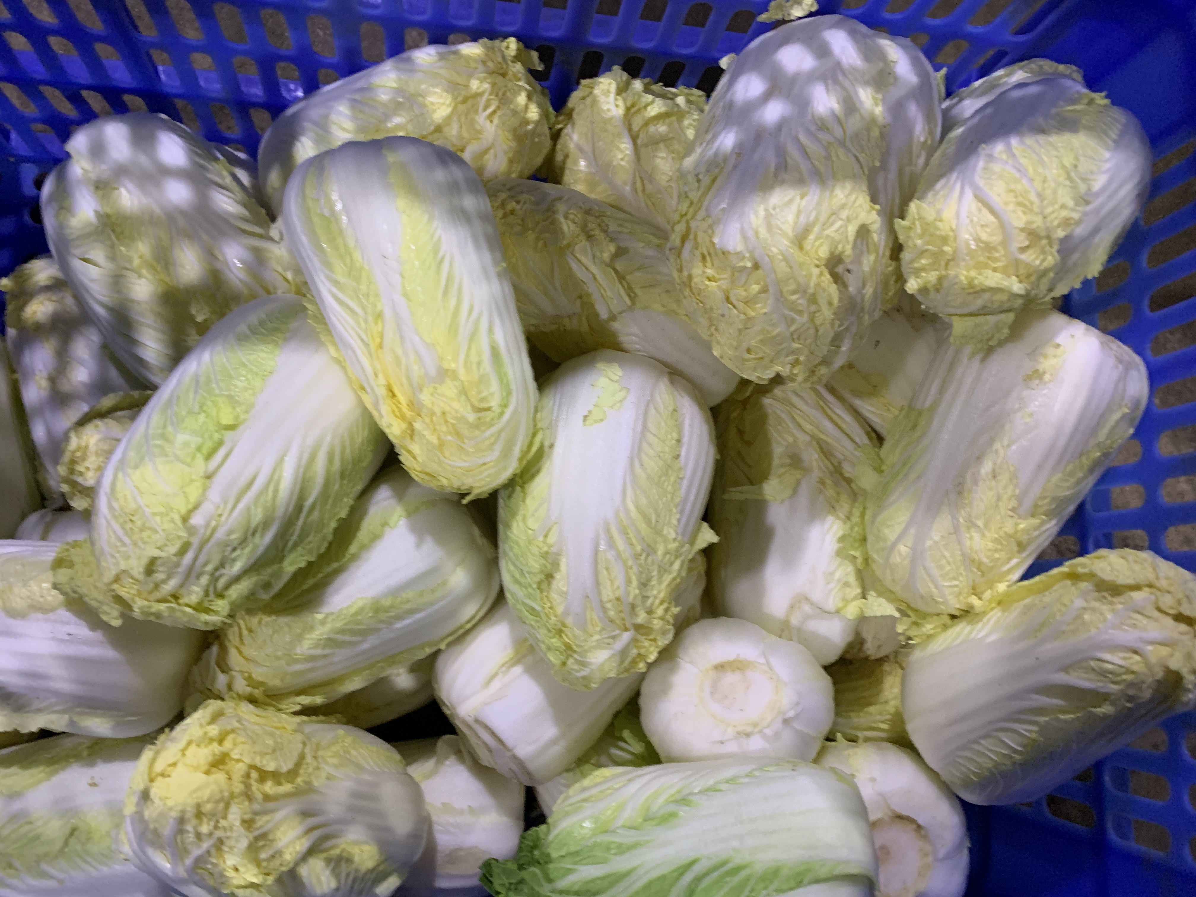 買(mǎi)菜需要什么手續(xù)，買(mǎi)菜需要注意哪些事項(xiàng)