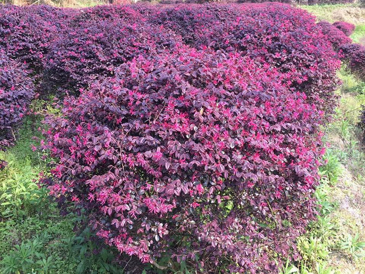 產(chǎn)品名稱2 