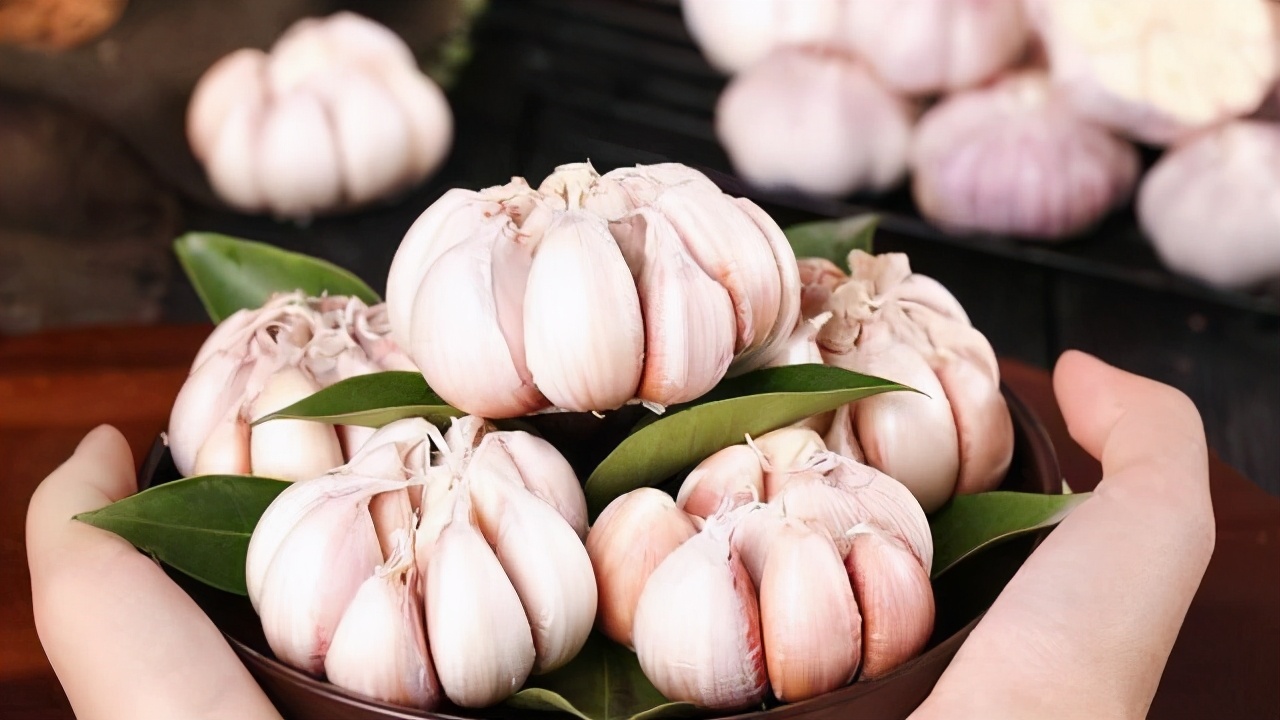 你真的會挑大蒜嗎？這幾種大蒜白給都不要，菜販往往不會告訴你