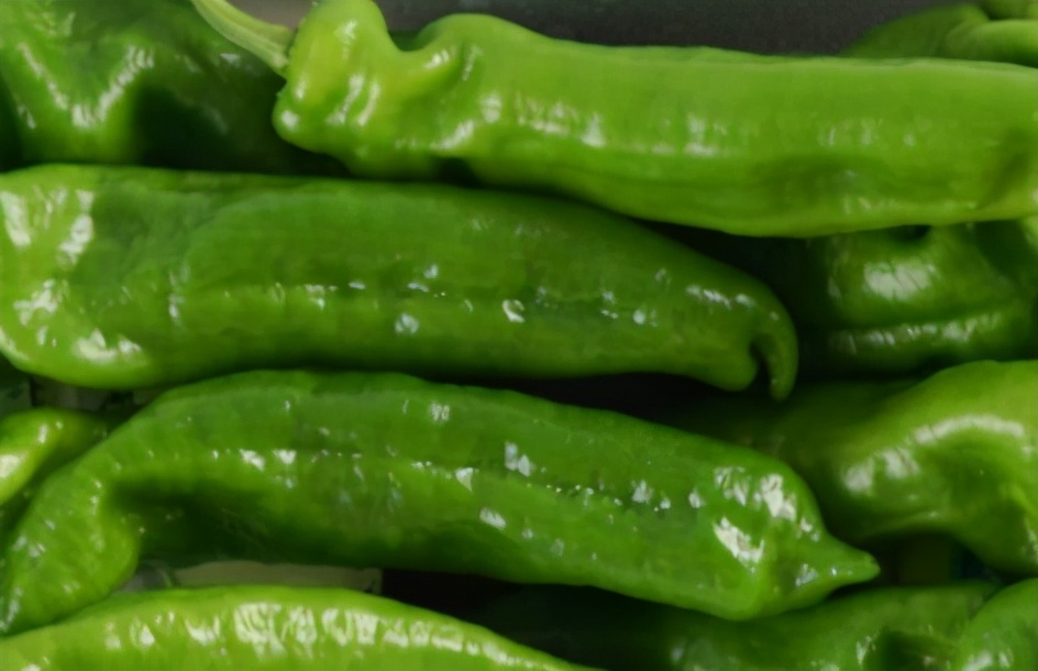 面對(duì)青椒你真的會(huì)挑選嗎？市場(chǎng)商販教你幾點(diǎn)，輕松區(qū)分辣和不辣
