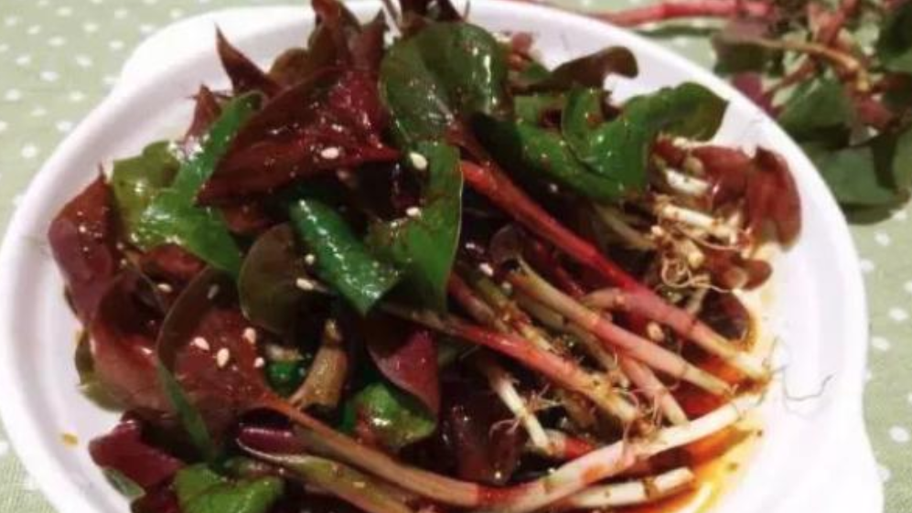 令北方人渾身抗拒的4種美食，南方人卻愛(ài)得不行，你能接受幾種？