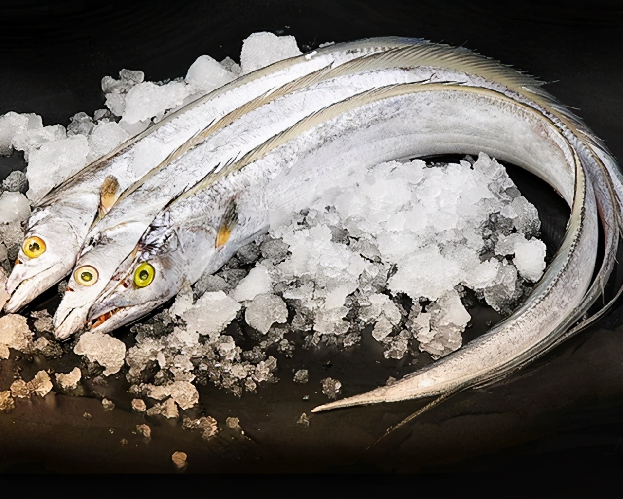 遇到這4種野生海魚別錯過，目前無法人工養(yǎng)殖，純野生價格還不貴