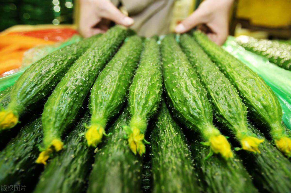 分享什么樣的營養(yǎng)蔬菜適合夏天補(bǔ)身體吃