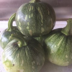 飯?zhí)檬卟伺渌停合闹燎昂?，這5種應(yīng)季蔬菜企業(yè)可以多預(yù)定配送