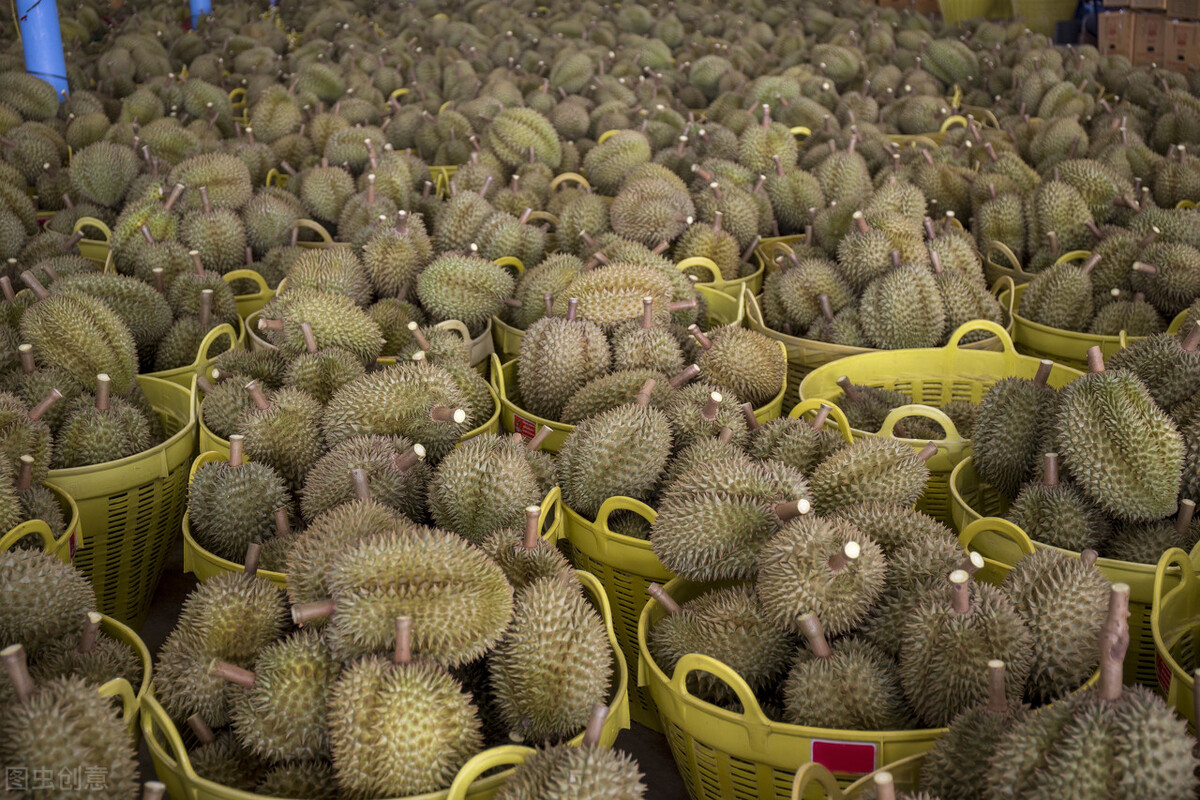龍眼、蘋果跌破1元，榴蓮低迷，水果集體爛市？2種水果悄然大漲