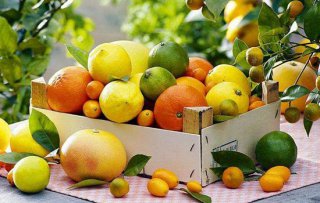 生鮮食材供應(yīng):老人不適合吃的水果，早看早知道！