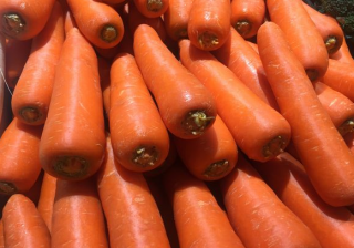 莞城區(qū)專業(yè)配送菜：對貓有益的蔬菜，最后一種最常用