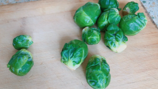 餐廳食材配送推薦大家多吃兩種蔬菜，含有20種基本維生素