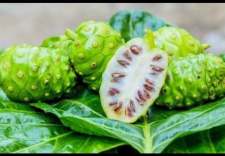 道滘同城蔬菜配送：我敢說，這五種罕見水果，你絕對(duì)沒吃過