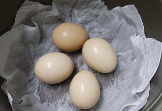 什么？一張紙也能讓雞蛋變熟，寮步蔬菜配送公司帶你一探究竟