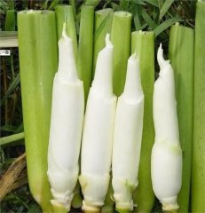 長(zhǎng)安配送水果蔬菜：這種蔬菜比肉還貴，老少皆宜開胃又下飯