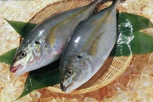 淡水魚和海魚有什么區(qū)別，淡水魚和海魚哪種更好？