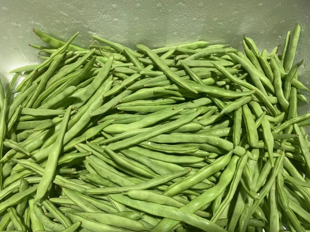 東莞食堂蔬菜配送中心提供便捷的蔬菜服務(wù)嗎，為東莞市民提供便捷的蔬菜服務(wù)