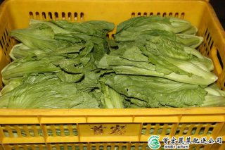 東莞市農(nóng)產(chǎn)品配送有限公司服務(wù)農(nóng)民產(chǎn)品供應(yīng)鏈，東莞市農(nóng)產(chǎn)品配送有限公司